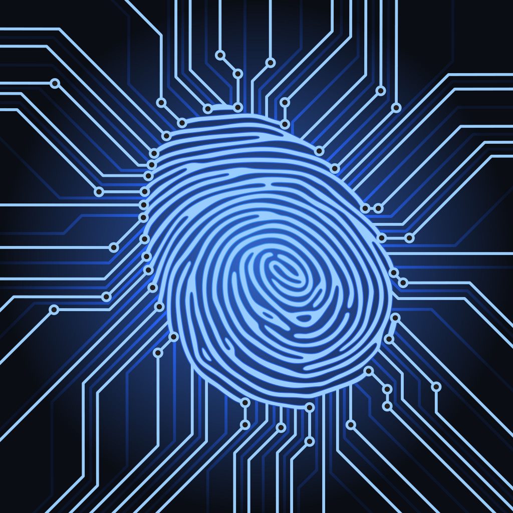 fingerprint identification system electronics scheme