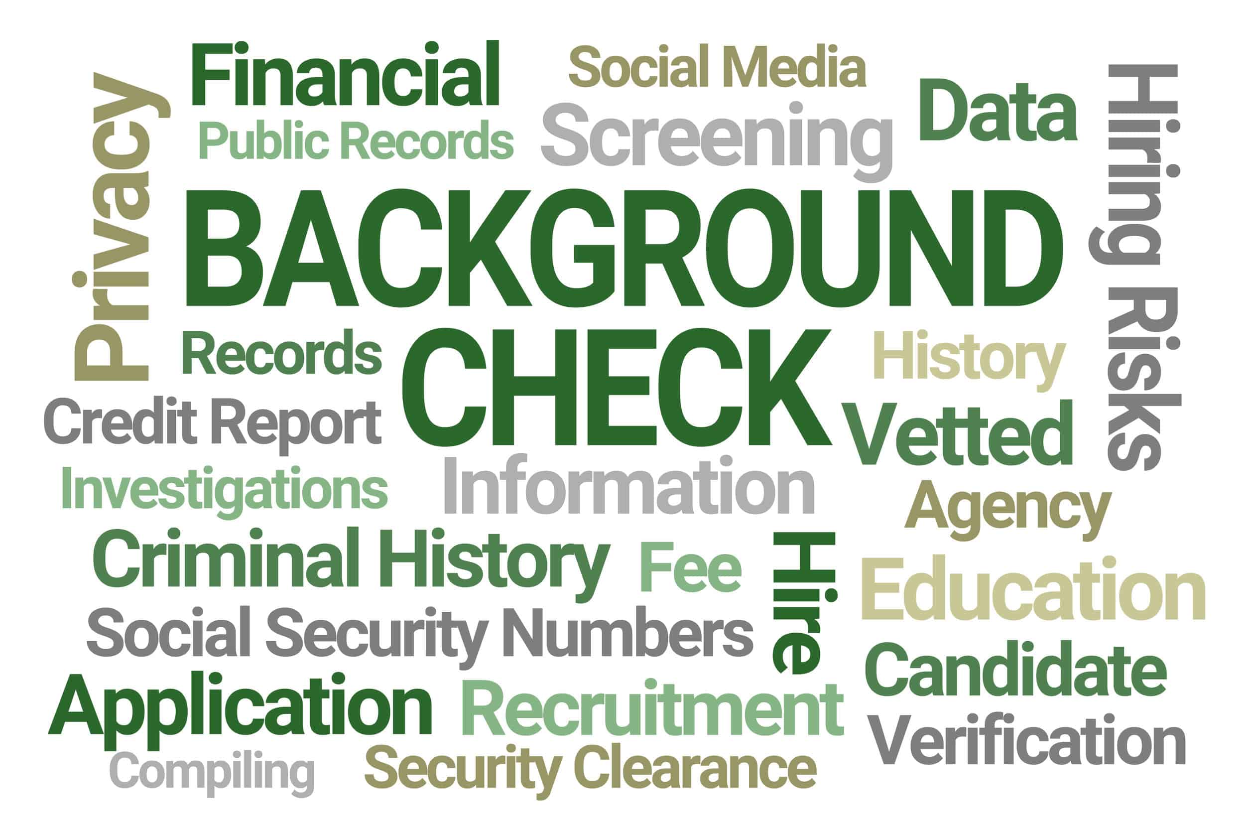 Background Check Word Cloud on White Background